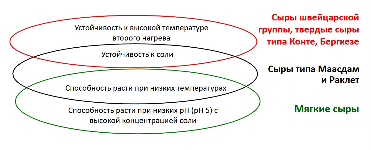в каких сырах используют пропионы