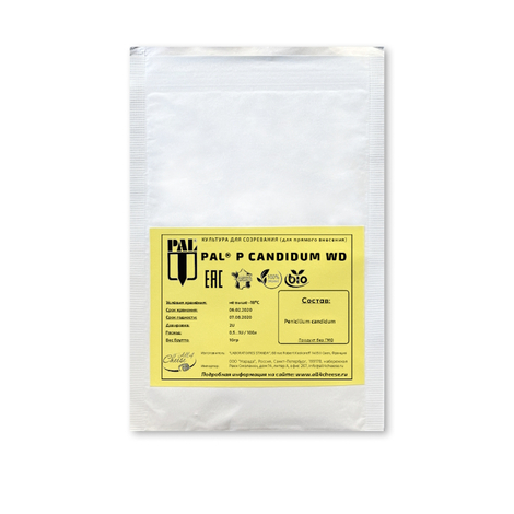 плесень Penicillium candidum standa